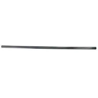 Baguette et bande protectrice, aile avant gauche BLIC 5703-04-2555571P
