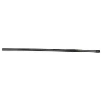 Baguette et bande protectrice, aile avant droit BLIC 5703-04-2555572P