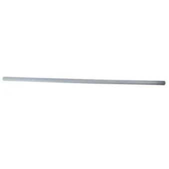 Baguette et bande protectrice, aile avant gauche BLIC 5703-04-2555575P