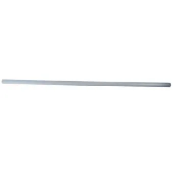Baguette et bande protectrice, aile avant droit BLIC 5703-04-2555576P