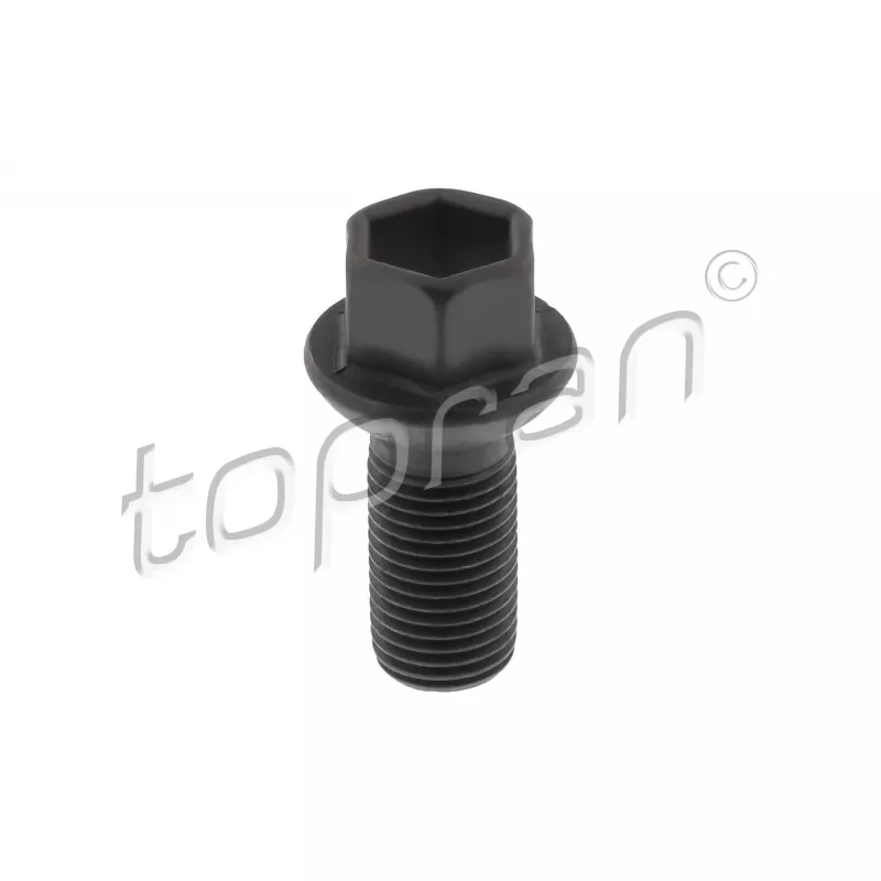 Vis de roue TOPRAN 411 099