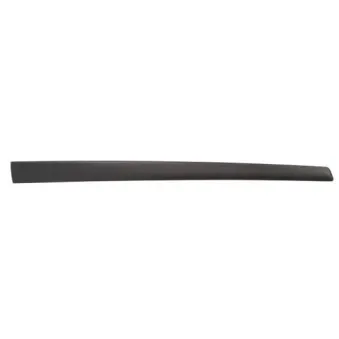 Baguette et bande protectrice, aile avant gauche BLIC 5703-04-2564571CP