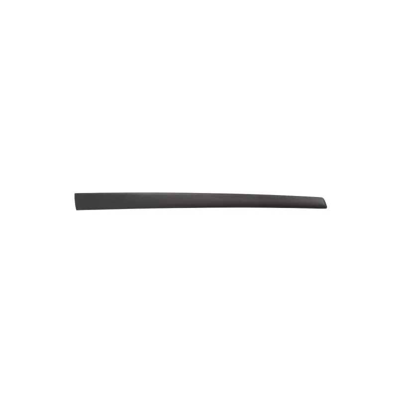 Baguette et bande protectrice, aile avant gauche BLIC 5703-04-2564571CP