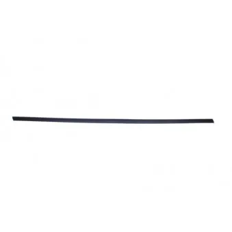 Baguette et bande protectrice, aile avant gauche BLIC 5703-04-2564571P