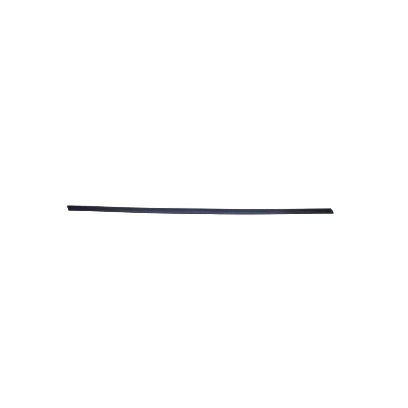 Baguette et bande protectrice, aile avant gauche BLIC 5703-04-2564571P
