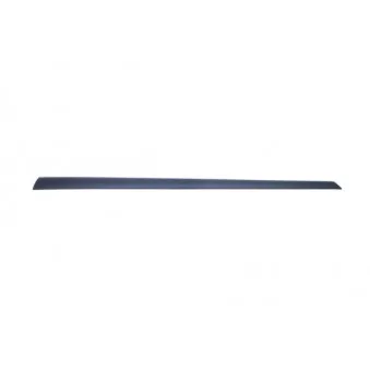 Baguette et bande protectrice, aile avant gauche BLIC 5703-04-2564571PP