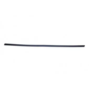 Baguette et bande protectrice, aile avant droit BLIC 5703-04-2564572P