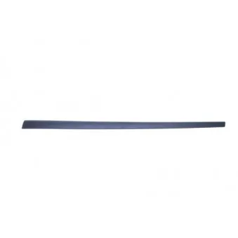 Baguette et bande protectrice, aile avant droit BLIC 5703-04-2564572PP