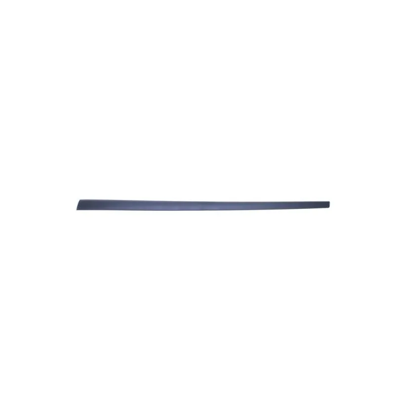 Baguette et bande protectrice, aile avant droit BLIC 5703-04-2564572PP