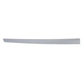 Baguette et bande protectrice, aile avant gauche BLIC 5703-04-2564575CP