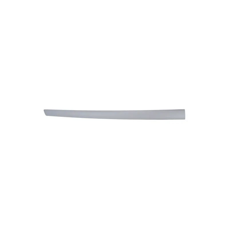 Baguette et bande protectrice, aile avant gauche BLIC 5703-04-2564575CP