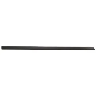 Baguette et bande protectrice, aile avant gauche BLIC 5703-04-2564575P
