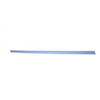 Baguette et bande protectrice, aile avant gauche BLIC 5703-04-2564575PP