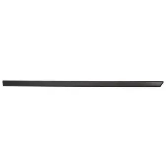 Baguette et bande protectrice, aile avant droit BLIC 5703-04-2564576P