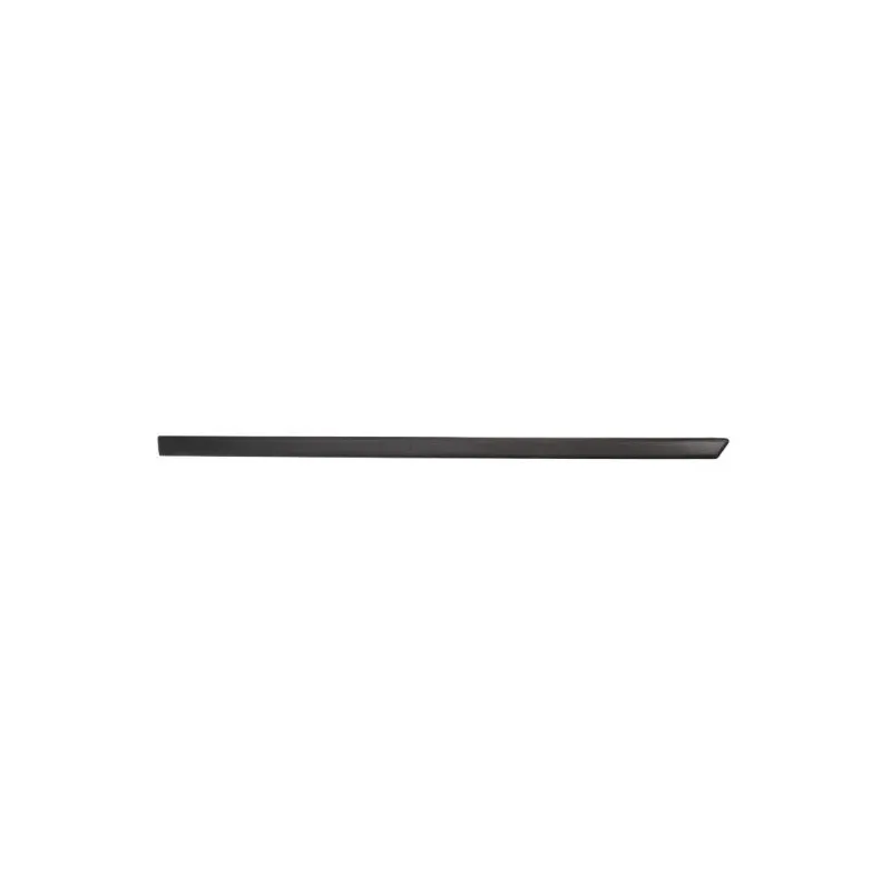 Baguette et bande protectrice, aile avant droit BLIC 5703-04-2564576P