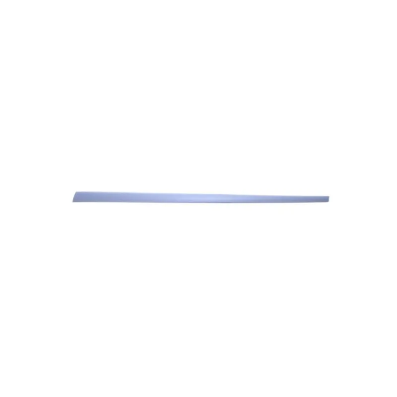 Baguette et bande protectrice, aile avant droit BLIC 5703-04-2564576PP