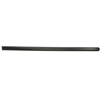 Baguette et bande protectrice, aile avant gauche BLIC 5703-04-2576571P
