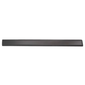 Baguette et bande protectrice, aile avant gauche BLIC 5703-04-2576571PP