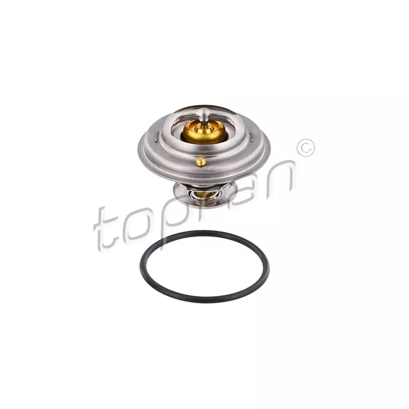 Thermostat d'eau TOPRAN 500 545
