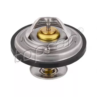Thermostat d'eau TOPRAN 500 547
