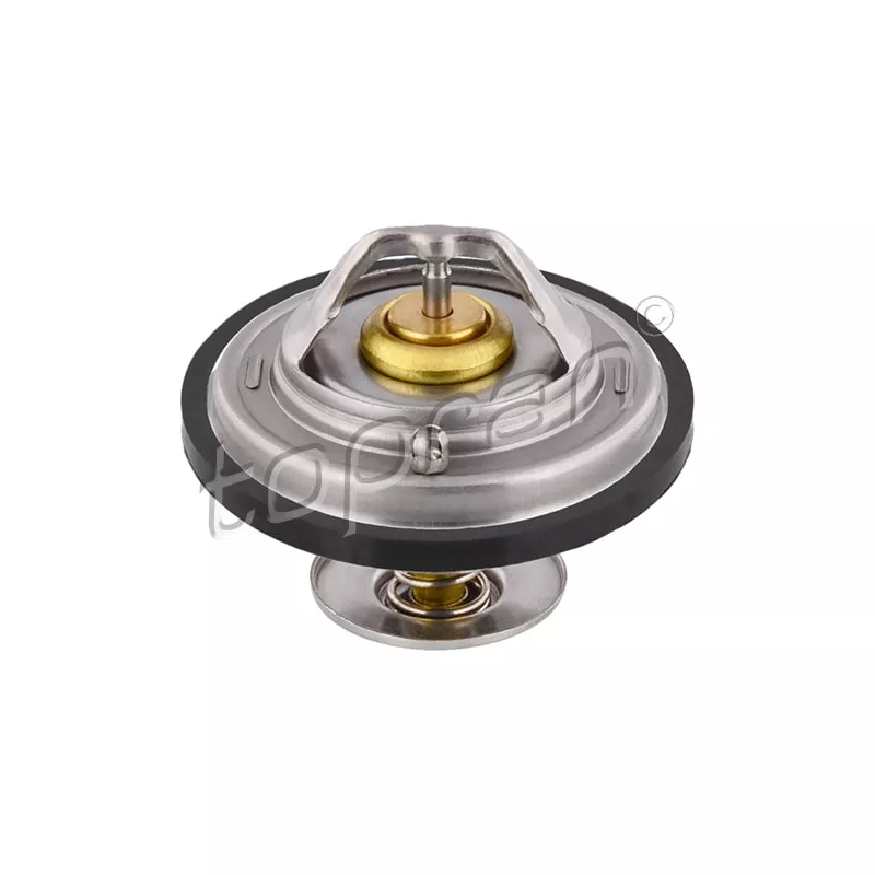 Thermostat d'eau TOPRAN 500 547