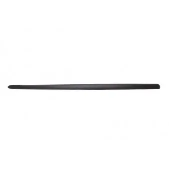 Baguette et bande protectrice, aile avant droit BLIC 5703-04-5022572P