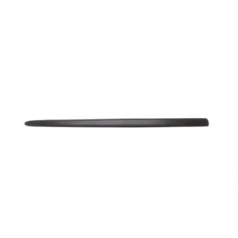 Baguette et bande protectrice, aile avant droit BLIC 5703-04-5022572PP