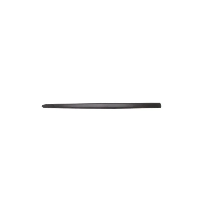 Baguette et bande protectrice, aile avant droit BLIC 5703-04-5022572PP
