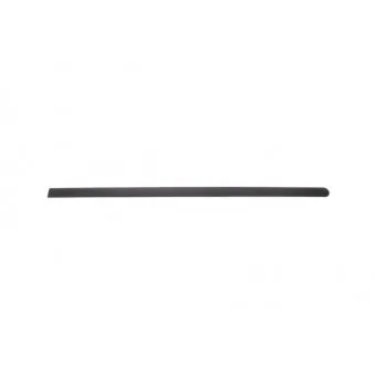 Baguette et bande protectrice, aile avant droit BLIC 5703-04-5023572PP