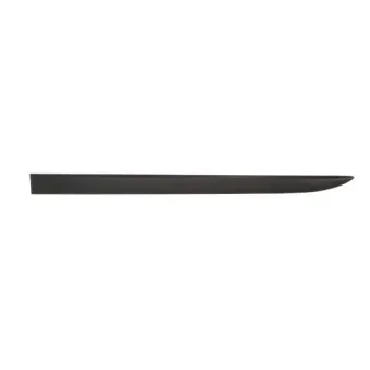 Baguette et bande protectrice, aile avant gauche BLIC 5703-04-5024571PP