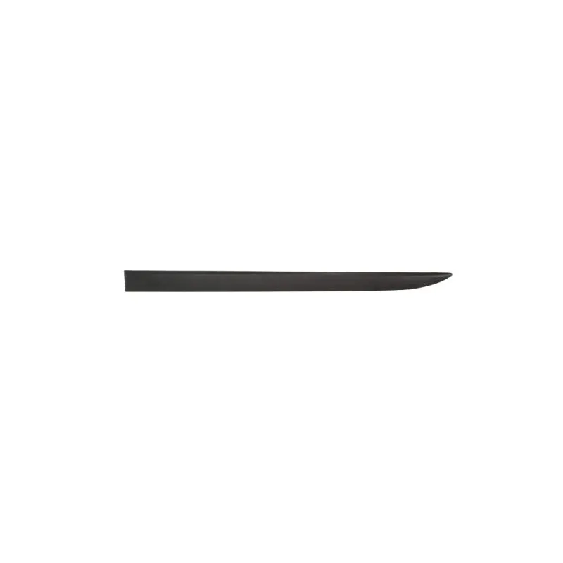 Baguette et bande protectrice, aile avant gauche BLIC 5703-04-5024571PP