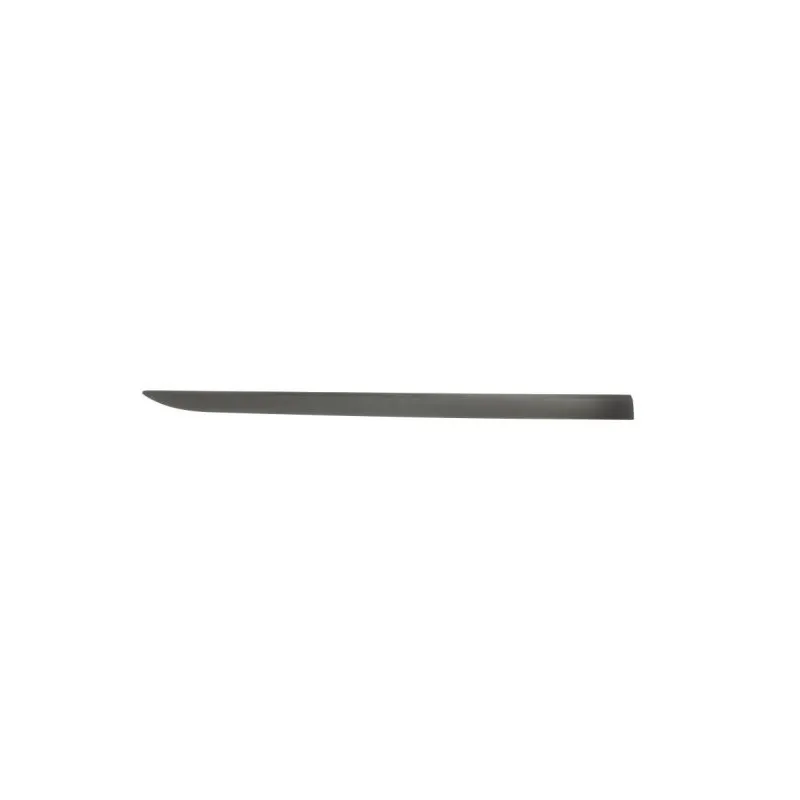 Baguette et bande protectrice, aile avant droit BLIC 5703-04-5024572P