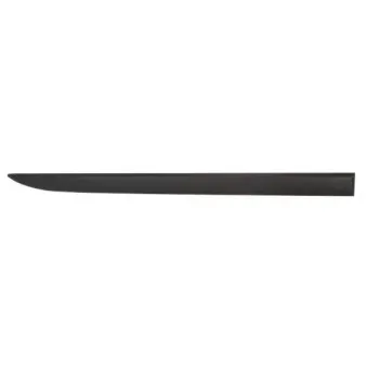 Baguette et bande protectrice, aile avant droit BLIC 5703-04-5024572PP