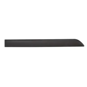 Baguette et bande protectrice, aile arrière droit BLIC 5703-04-5024574P