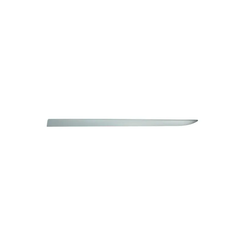 Baguette et bande protectrice, aile avant gauche BLIC 5703-04-5024575P