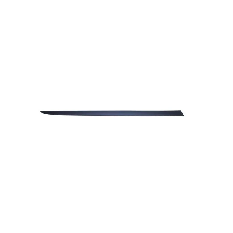 Baguette et bande protectrice, aile avant droit BLIC 5703-04-5024576P