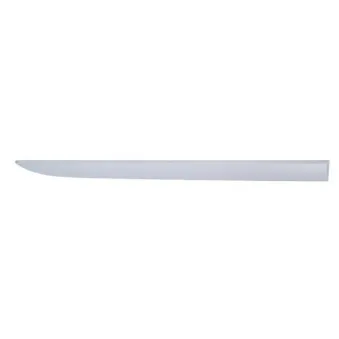 Baguette et bande protectrice, aile avant droit BLIC 5703-04-5024576PP