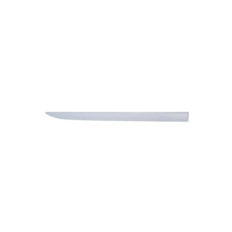 Baguette et bande protectrice, aile avant droit BLIC 5703-04-5024576PP