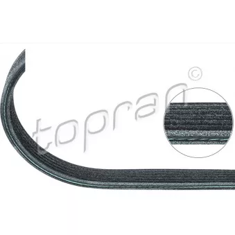 Courroie trapézoïdale à nervures TOPRAN 501 683