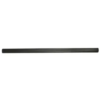 Baguette et bande protectrice, aile avant droit BLIC 5703-04-5051572P