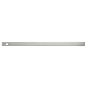 Baguette et bande protectrice, aile avant droit BLIC 5703-04-5051576P
