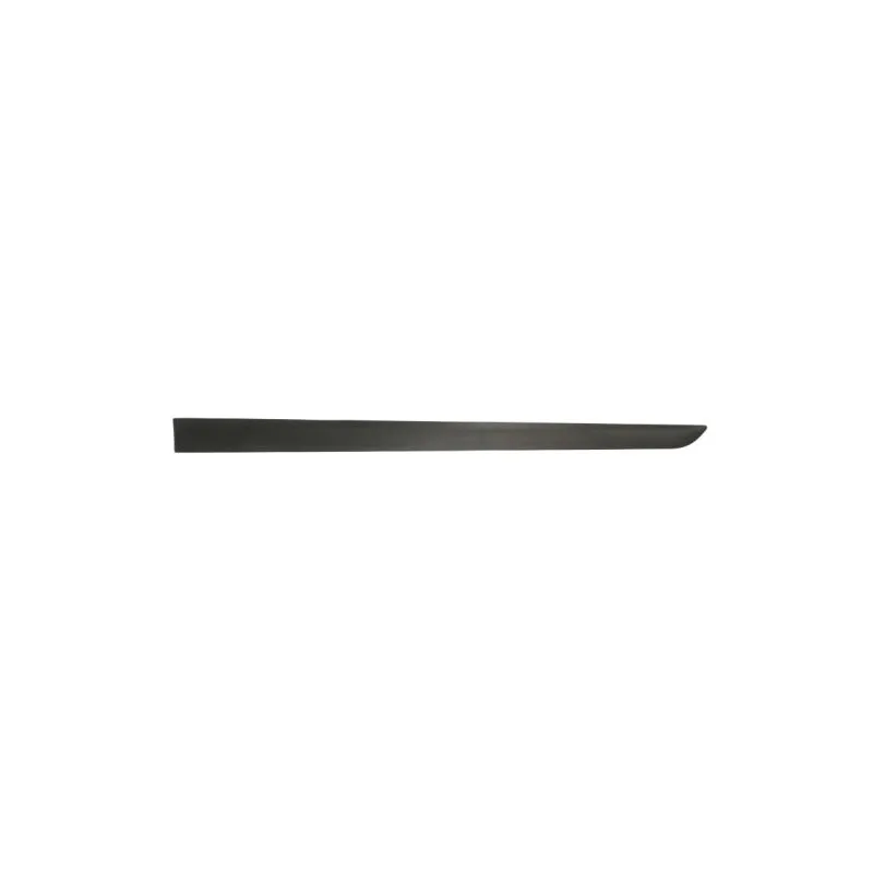 Baguette et bande protectrice, aile avant gauche BLIC 5703-04-5052571P