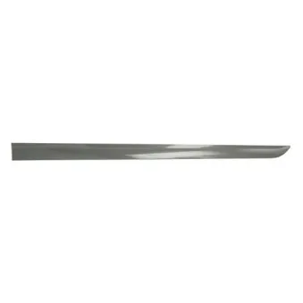 Baguette et bande protectrice, aile avant gauche BLIC 5703-04-5052575P