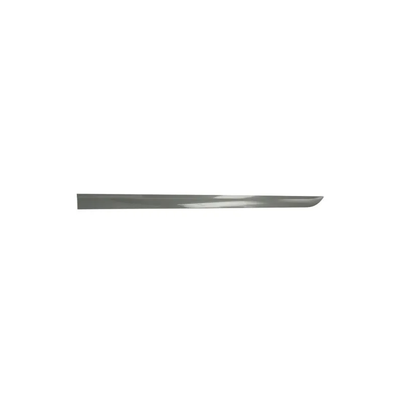 Baguette et bande protectrice, aile avant gauche BLIC 5703-04-5052575P