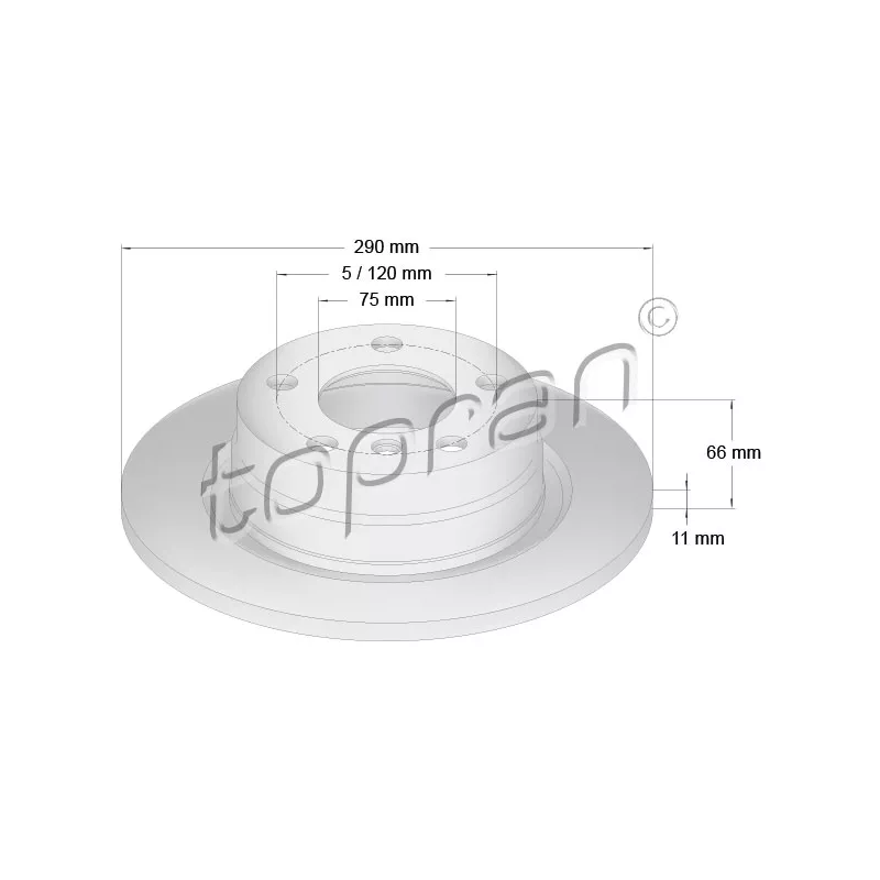 Jeu de 2 disques de frein arrière TOPRAN 501 903