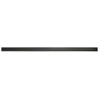 Baguette et bande protectrice, aile avant gauche BLIC 5703-04-5077571P