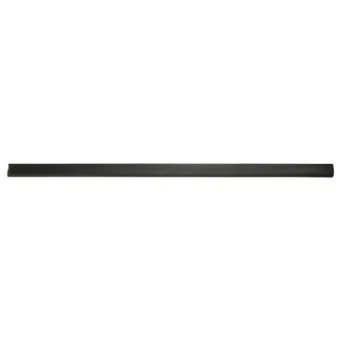 Baguette et bande protectrice, aile avant droit BLIC 5703-04-5077572P