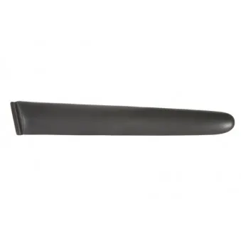 Baguette et bande protectrice, aile arrière gauche BLIC 5703-04-5507473P