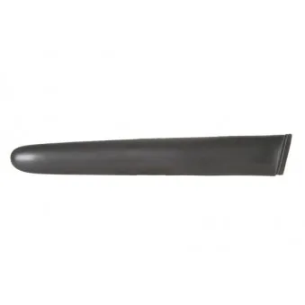 Baguette et bande protectrice, aile arrière droit BLIC 5703-04-5507474P