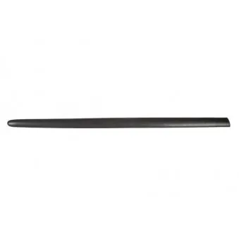Baguette et bande protectrice, aile avant droit BLIC 5703-04-5507572PP